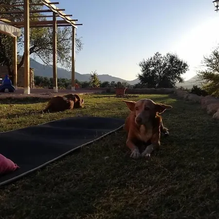 Сasa de vacaciones Cortijo Rural Gumeo